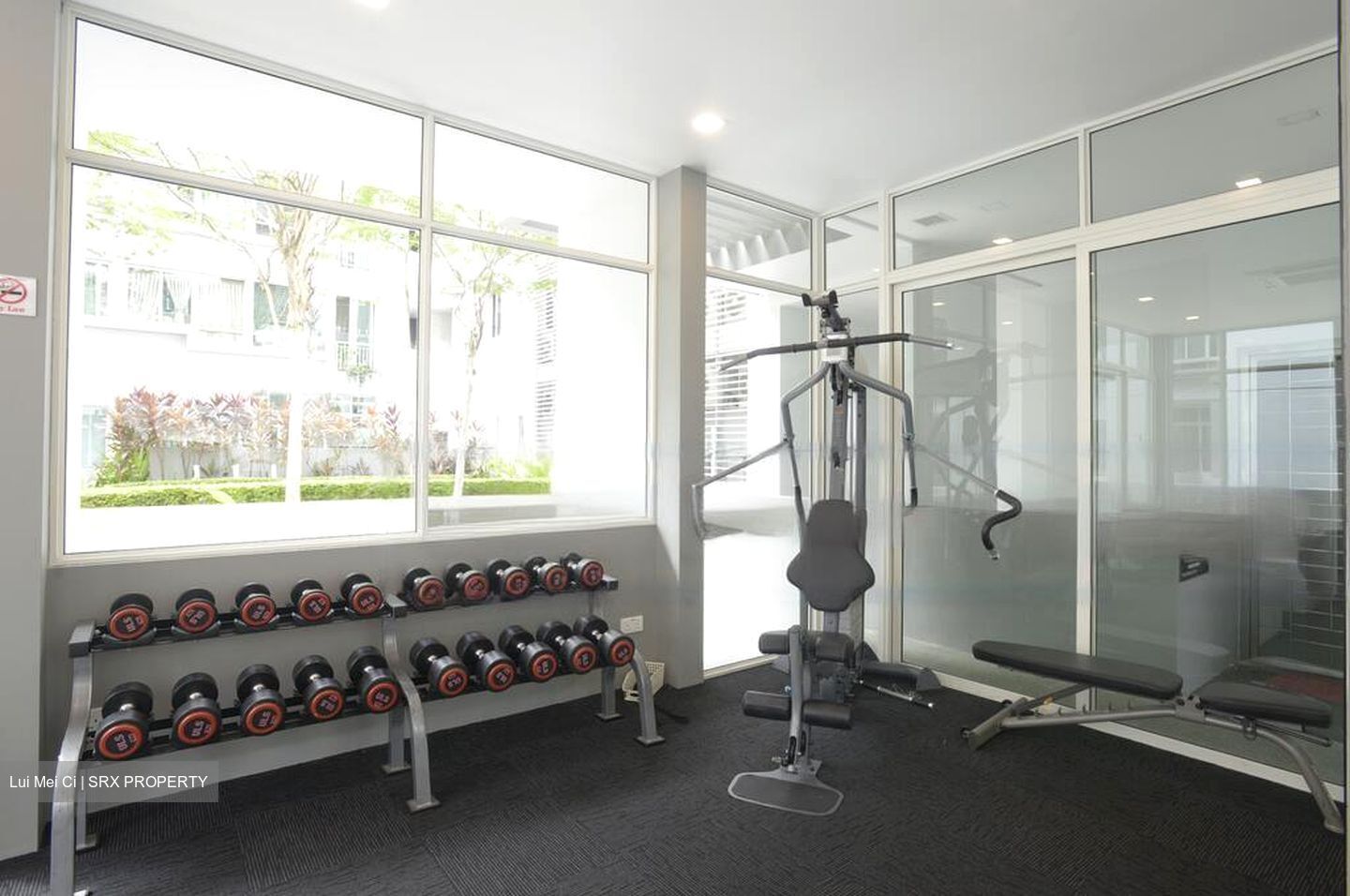 Le Reve (D14), Condominium #460662731